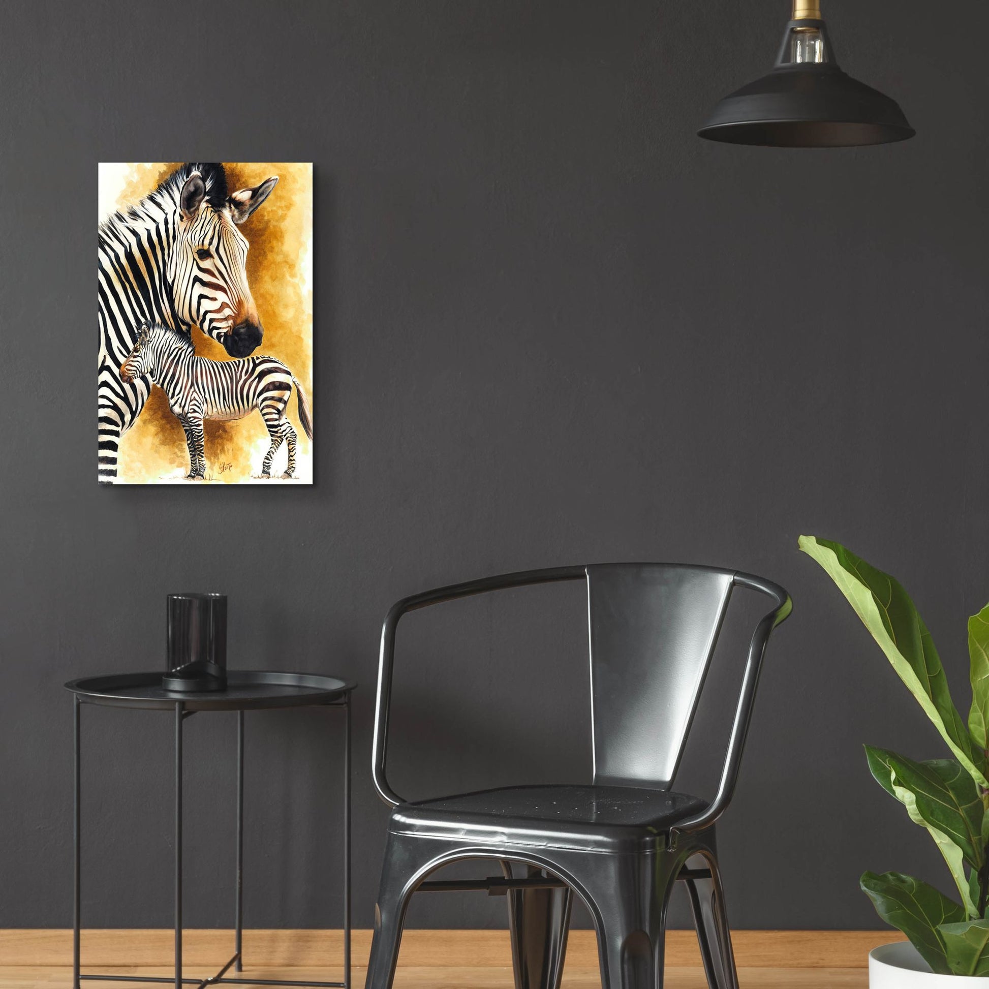 Epic Art 'Mountain Zebra' by Barbara Keith, Acrylic Glass Wall Art,16x24