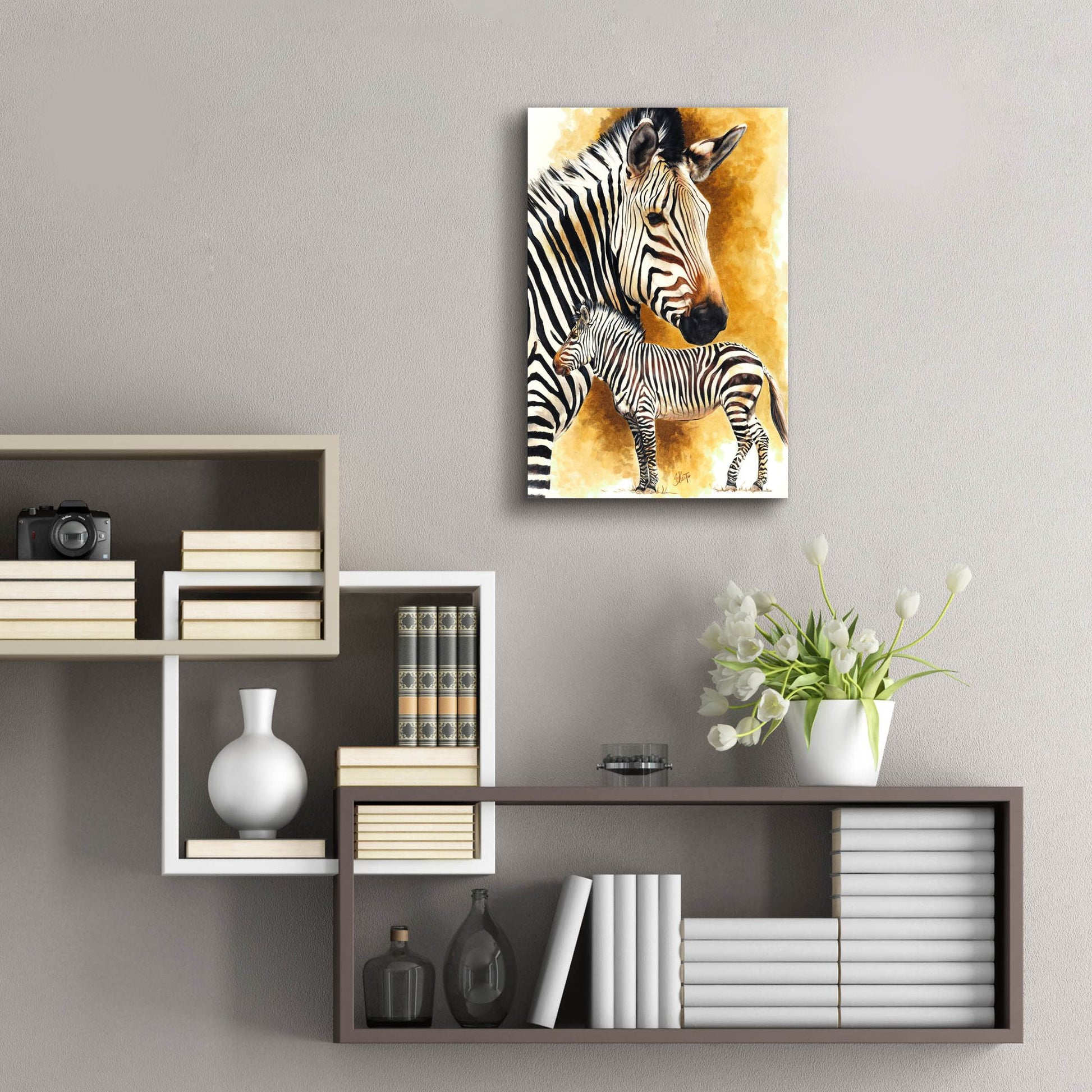 Epic Art 'Mountain Zebra' by Barbara Keith, Acrylic Glass Wall Art,16x24