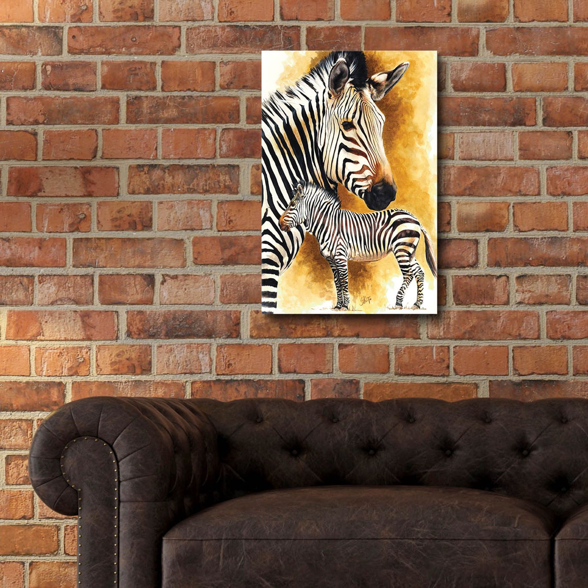 Epic Art 'Mountain Zebra' by Barbara Keith, Acrylic Glass Wall Art,16x24