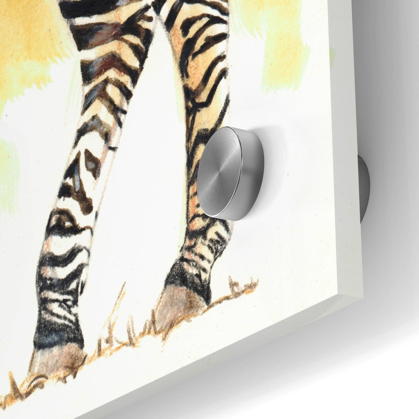 Epic Art 'Mountain Zebra' by Barbara Keith, Acrylic Glass Wall Art,24x36