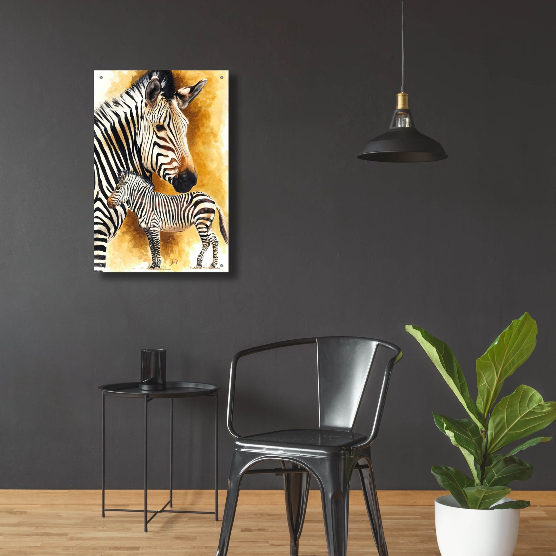 Epic Art 'Mountain Zebra' by Barbara Keith, Acrylic Glass Wall Art,24x36