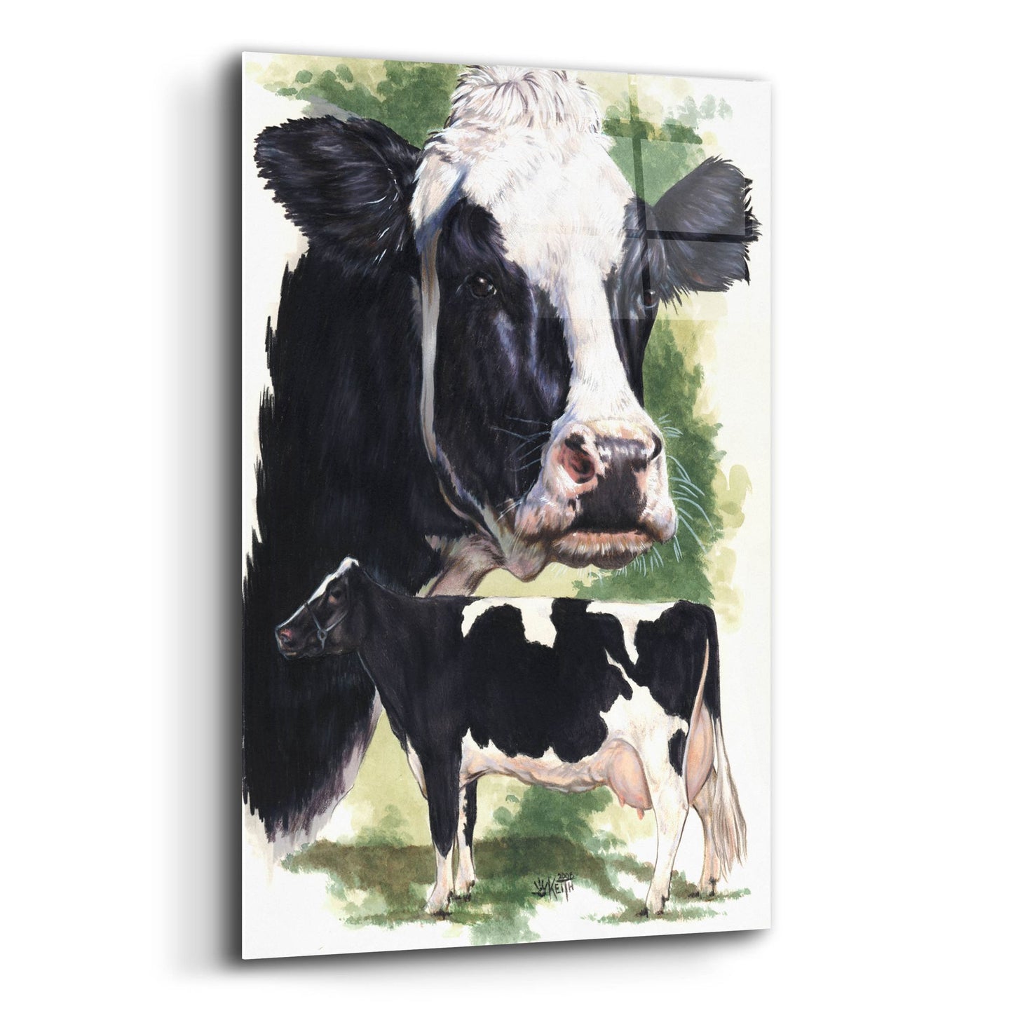 Epic Art 'Holstein Cow' by Barbara Keith, Acrylic Glass Wall Art,12x16