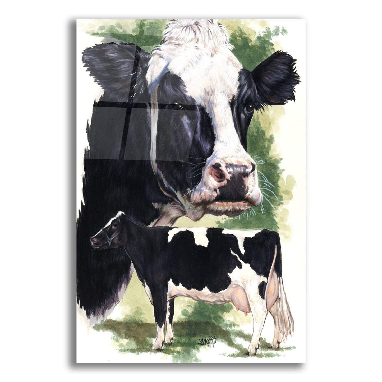 Epic Art 'Holstein Cow' by Barbara Keith, Acrylic Glass Wall Art,12x16