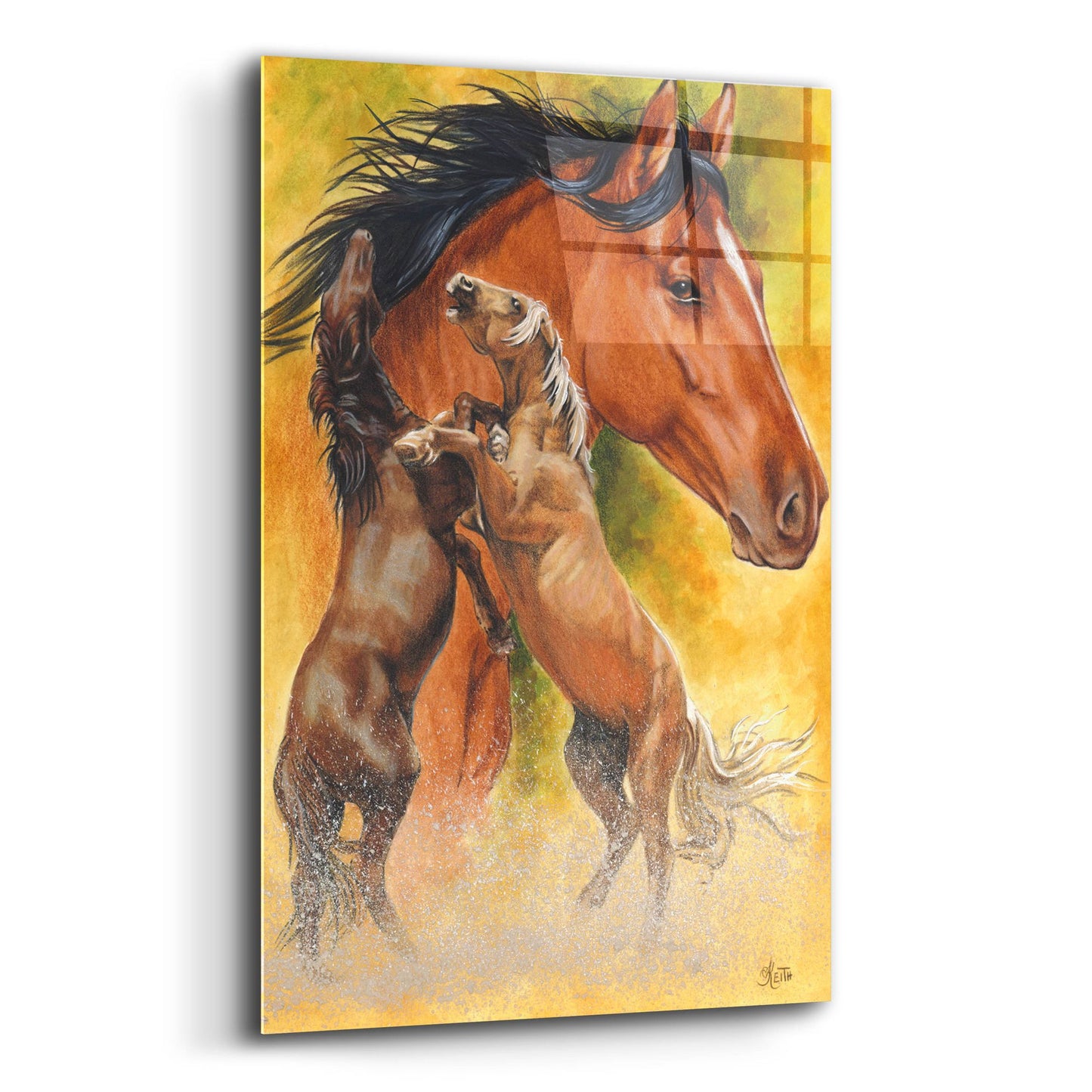 Epic Art 'Mustang' by Barbara Keith, Acrylic Glass Wall Art,12x16