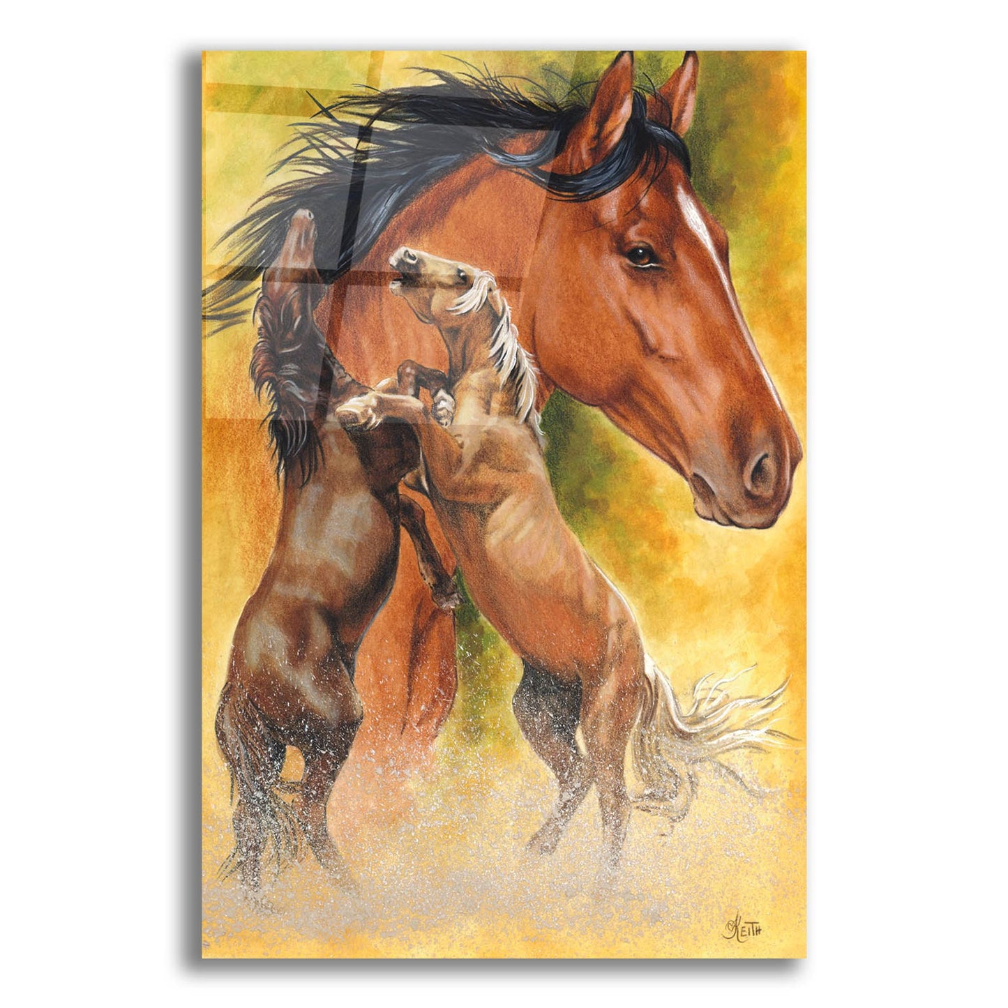 Epic Art 'Mustang' by Barbara Keith, Acrylic Glass Wall Art,12x16