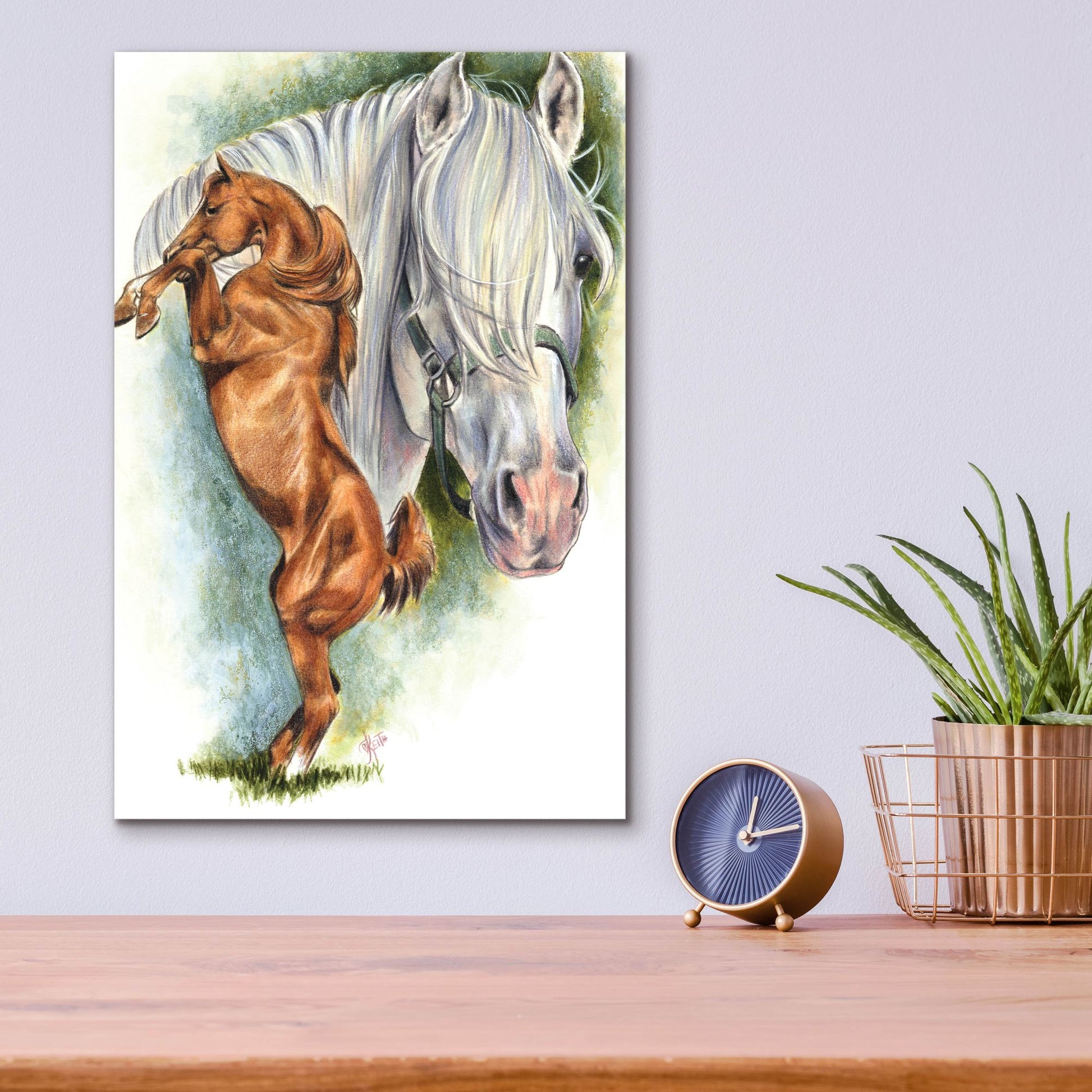 Epic Art 'Andalusian - Spanish Mustang' by Barbara Keith, Acrylic Glass Wall Art,12x16