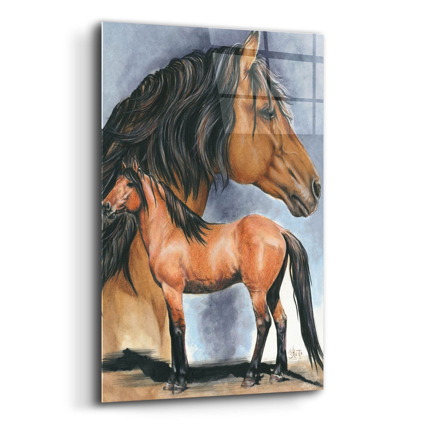 Epic Art 'Kiger Mustang' by Barbara Keith, Acrylic Glass Wall Art,12x16