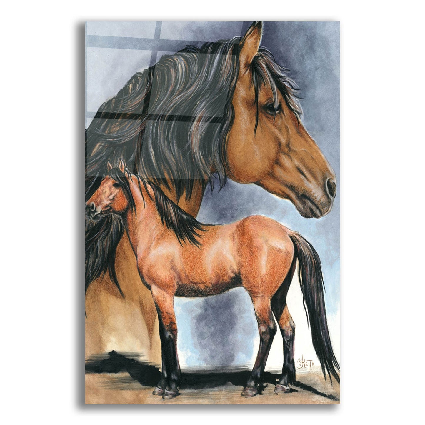 Epic Art 'Kiger Mustang' by Barbara Keith, Acrylic Glass Wall Art,12x16