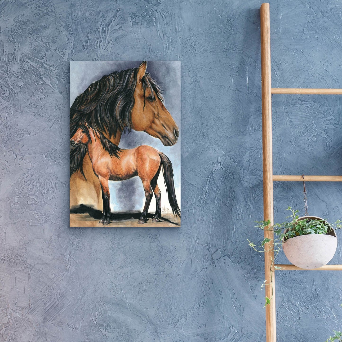 Epic Art 'Kiger Mustang' by Barbara Keith, Acrylic Glass Wall Art,16x24