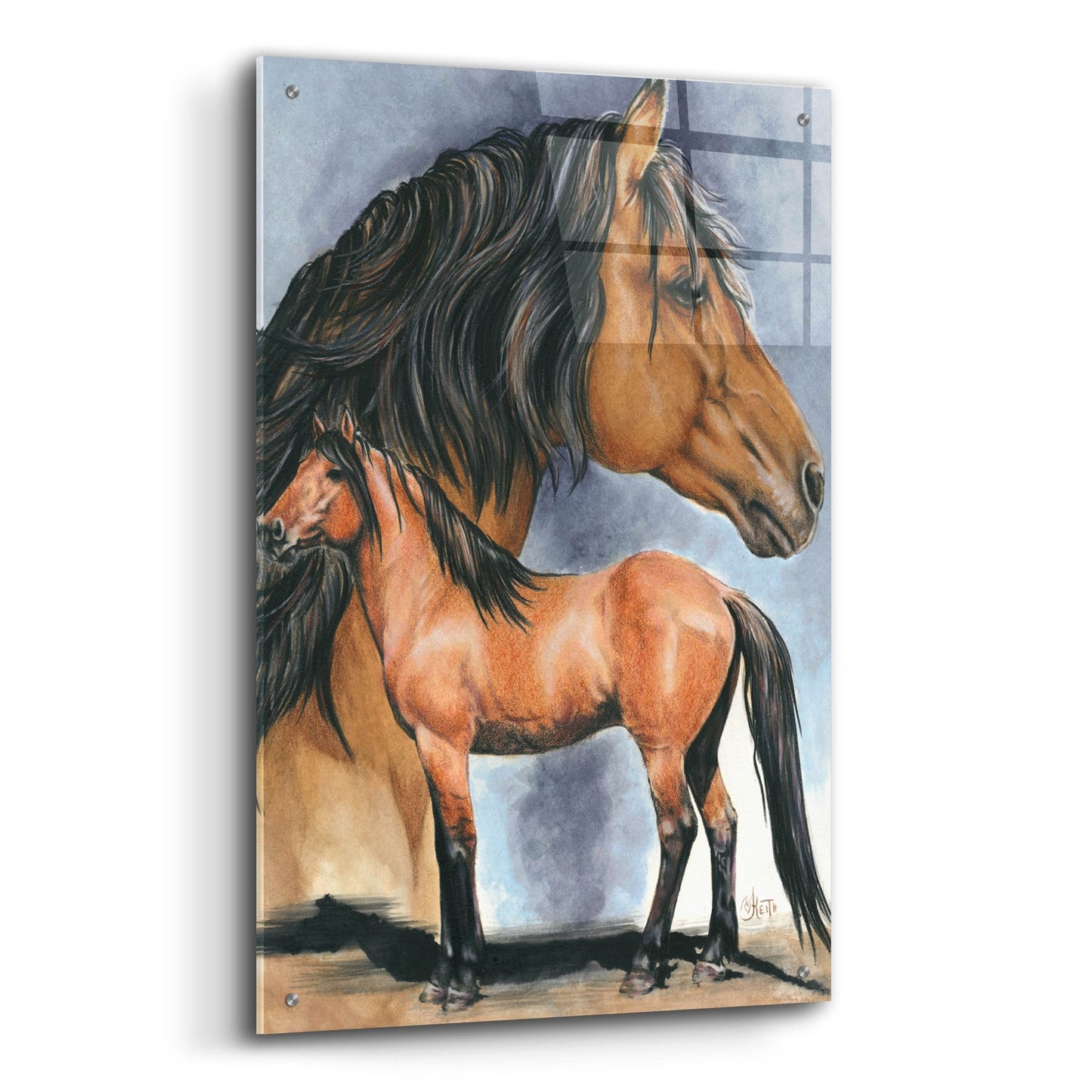 Epic Art 'Kiger Mustang' by Barbara Keith, Acrylic Glass Wall Art,24x36