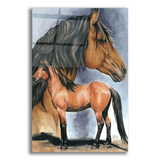 Epic Art 'Kiger Mustang' by Barbara Keith, Acrylic Glass Wall Art