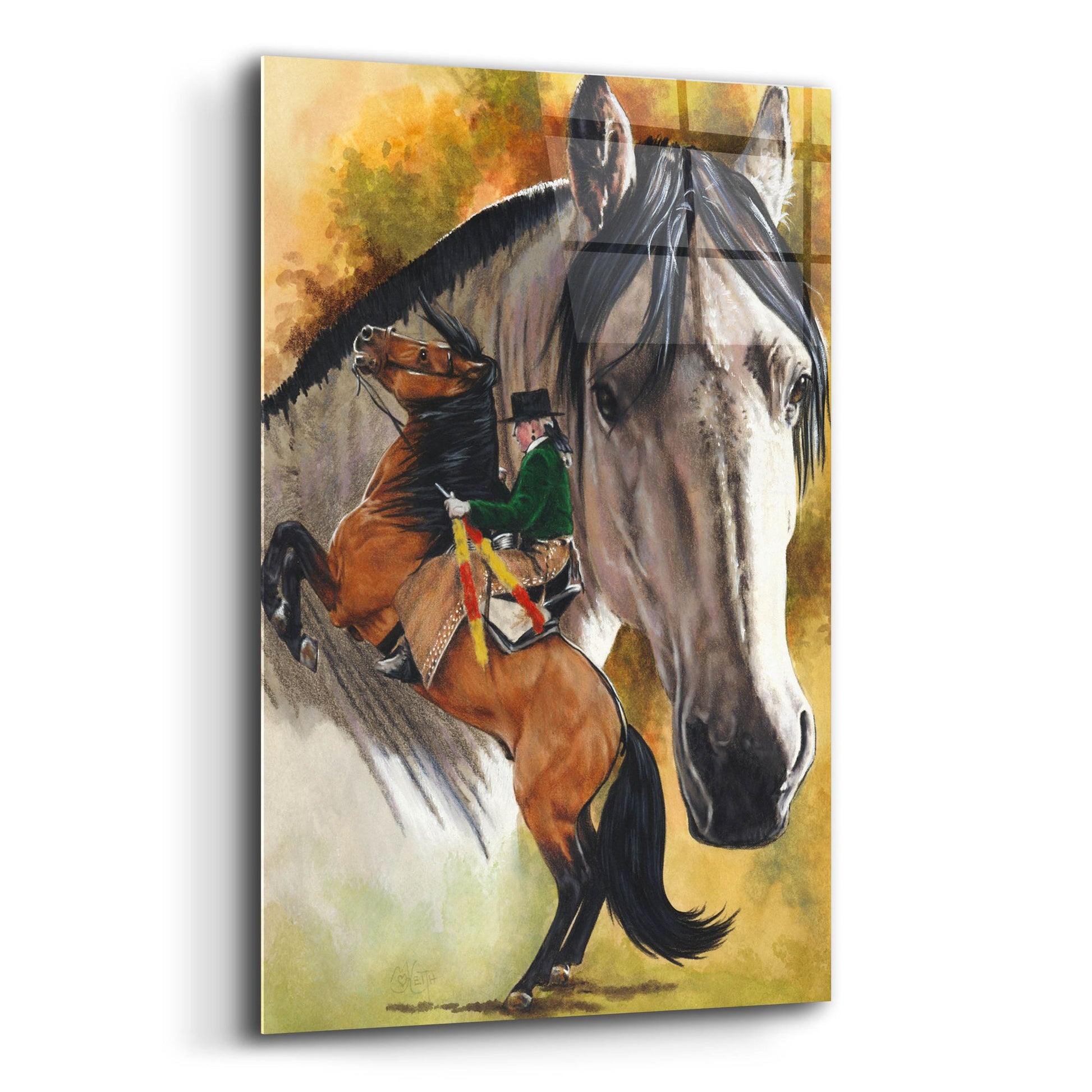 Epic Art 'Lusitano' by Barbara Keith, Acrylic Glass Wall Art,12x16