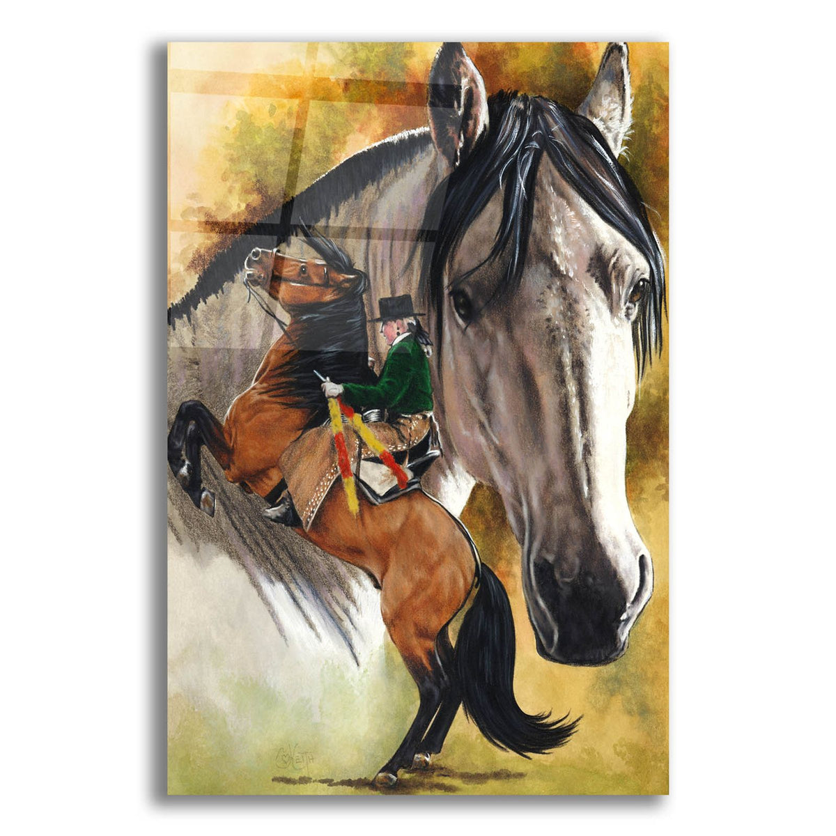 Lusitano by Barbara Keith acrylic glass wall art