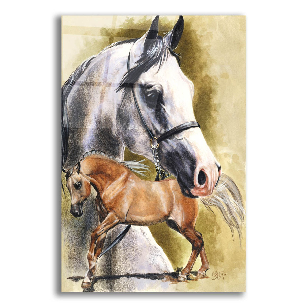 Anglo-Arab by Barbara Keith acrylic glass wall art