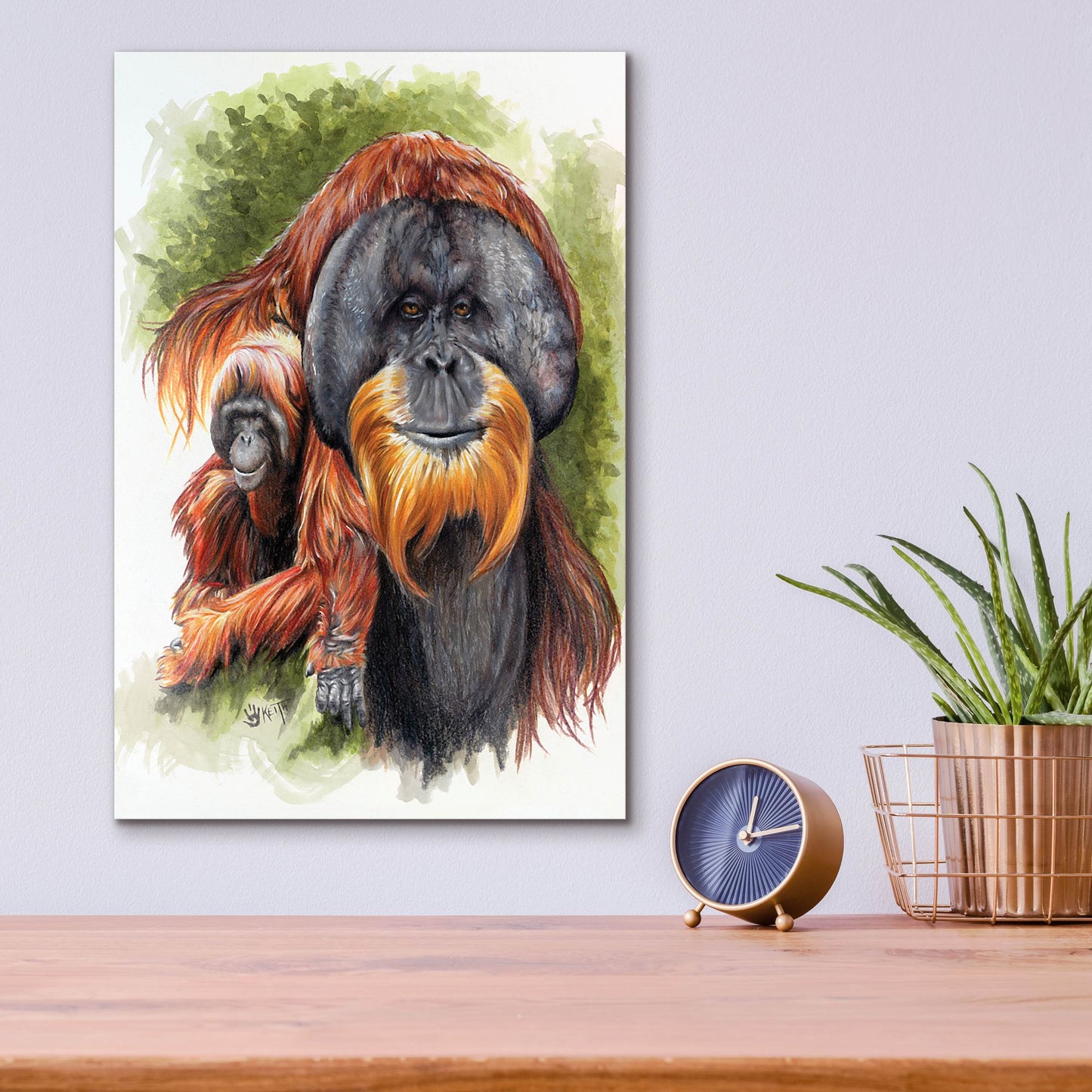 Epic Art 'Orangutan Soul' by Barbara Keith, Acrylic Glass Wall Art,12x16