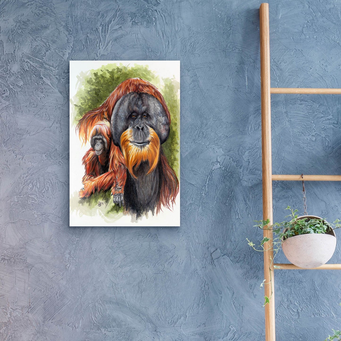 Epic Art 'Orangutan Soul' by Barbara Keith, Acrylic Glass Wall Art,16x24