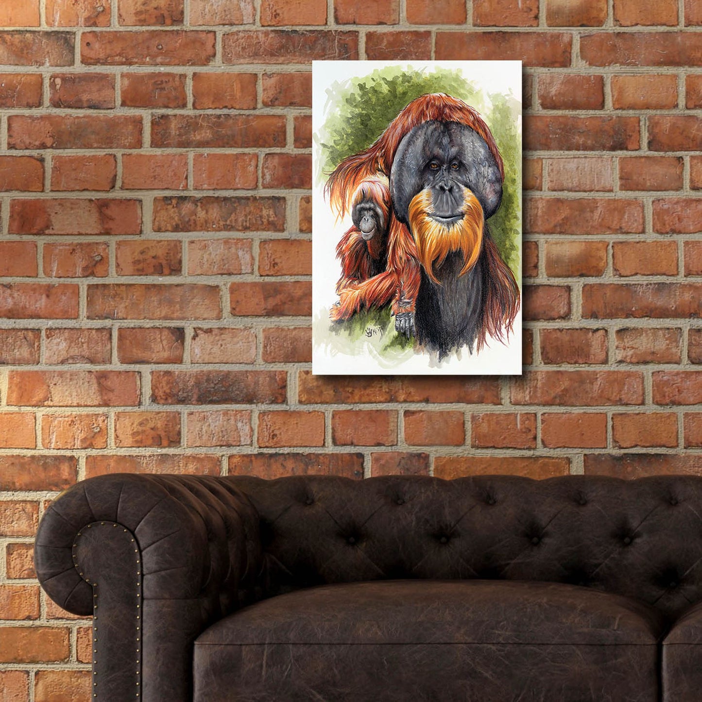 Epic Art 'Orangutan Soul' by Barbara Keith, Acrylic Glass Wall Art,16x24