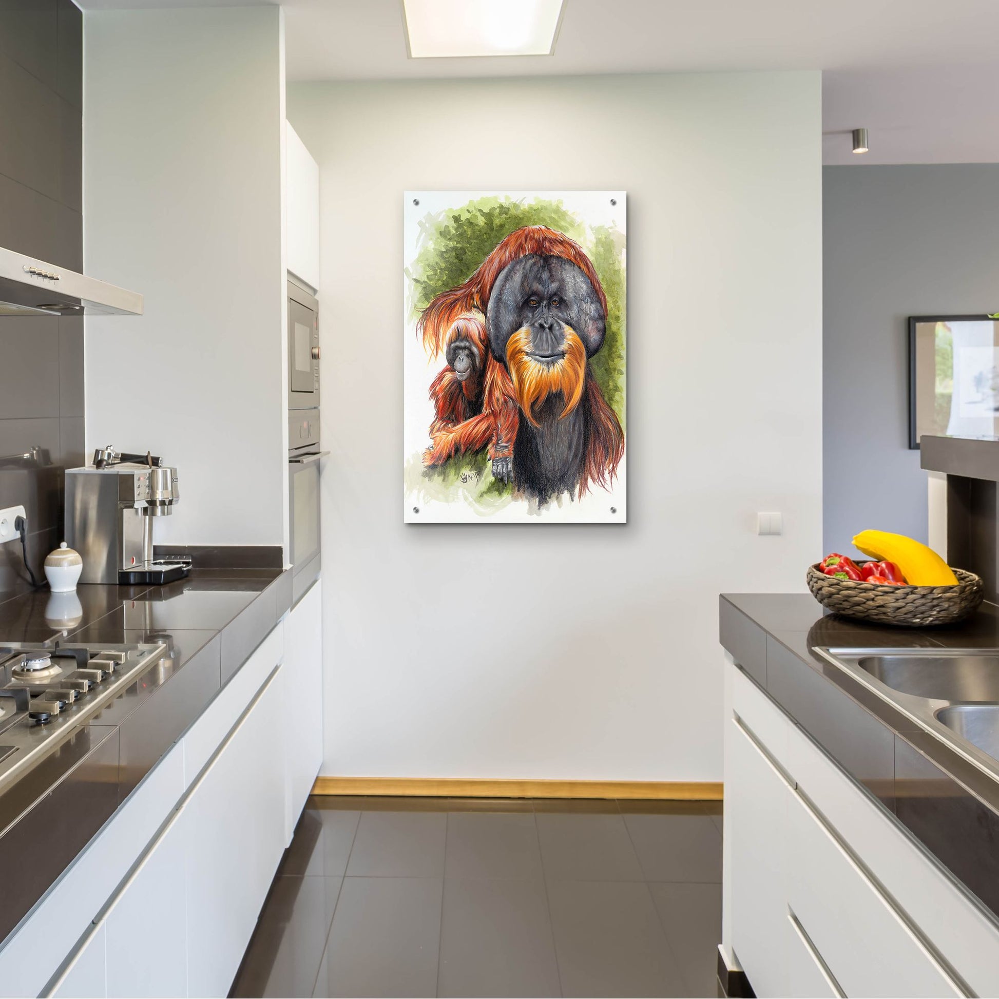 Epic Art 'Orangutan Soul' by Barbara Keith, Acrylic Glass Wall Art,24x36