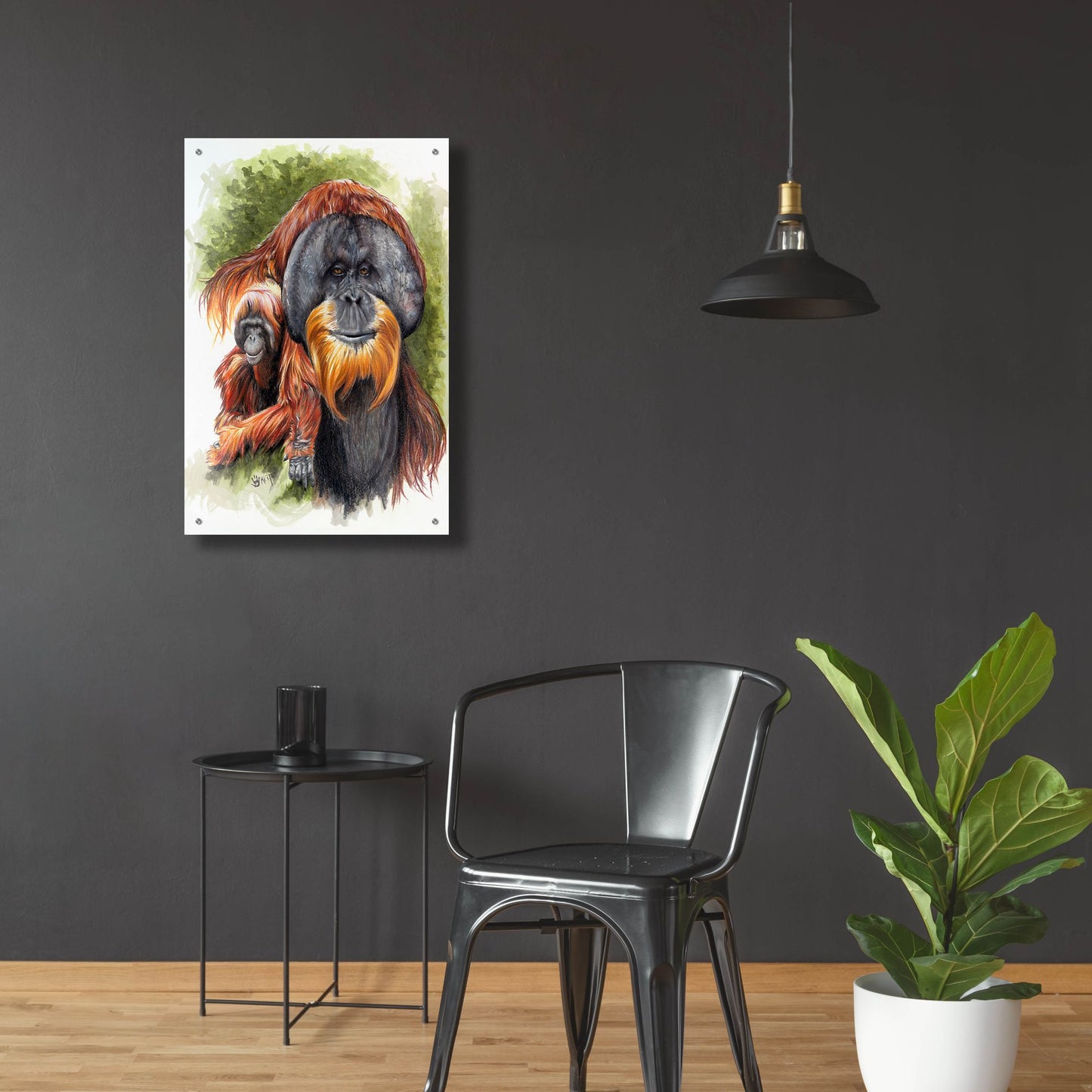 Epic Art 'Orangutan Soul' by Barbara Keith, Acrylic Glass Wall Art,24x36