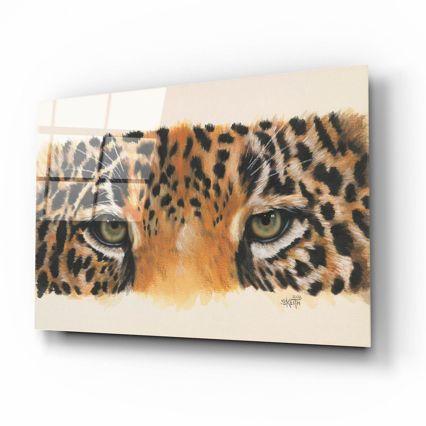 Epic Art 'Eye-Catching Jaguar' by Barbara Keith, Acrylic Glass Wall Art,16x12