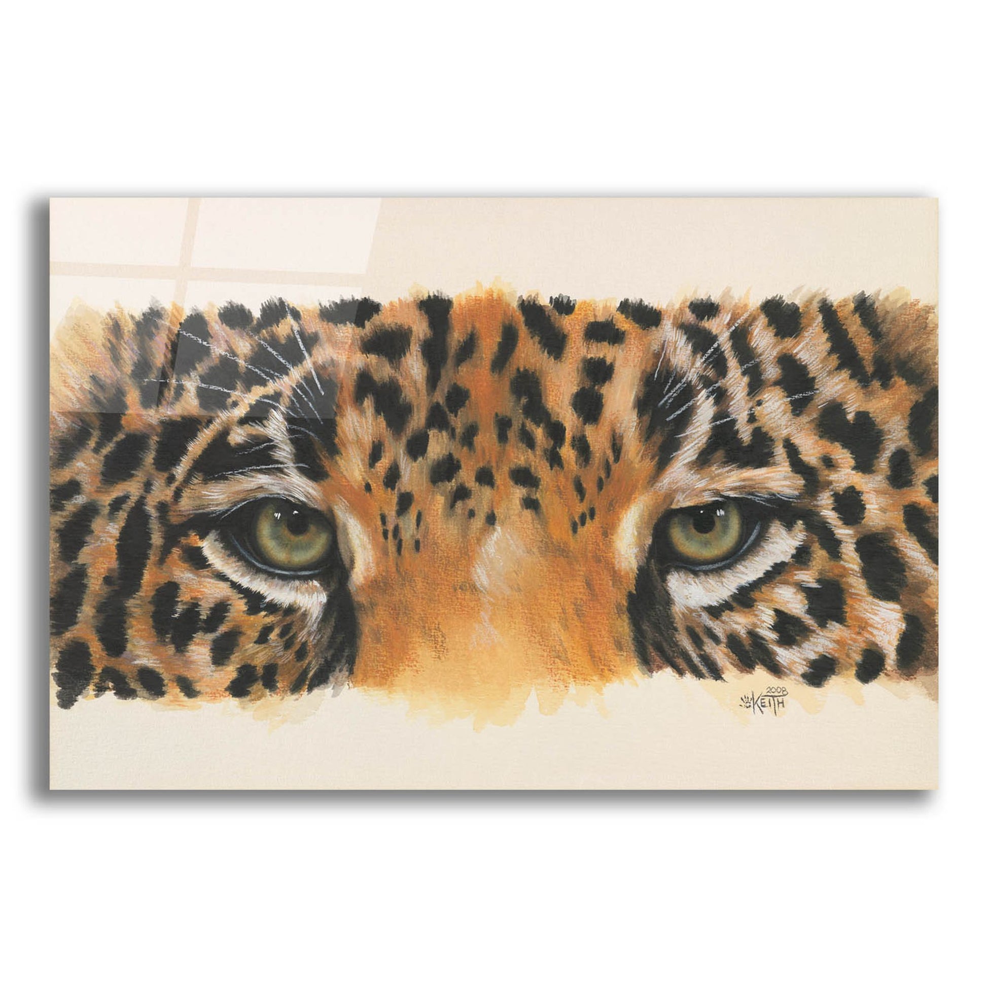 Epic Art 'Eye-Catching Jaguar' by Barbara Keith, Acrylic Glass Wall Art,16x12