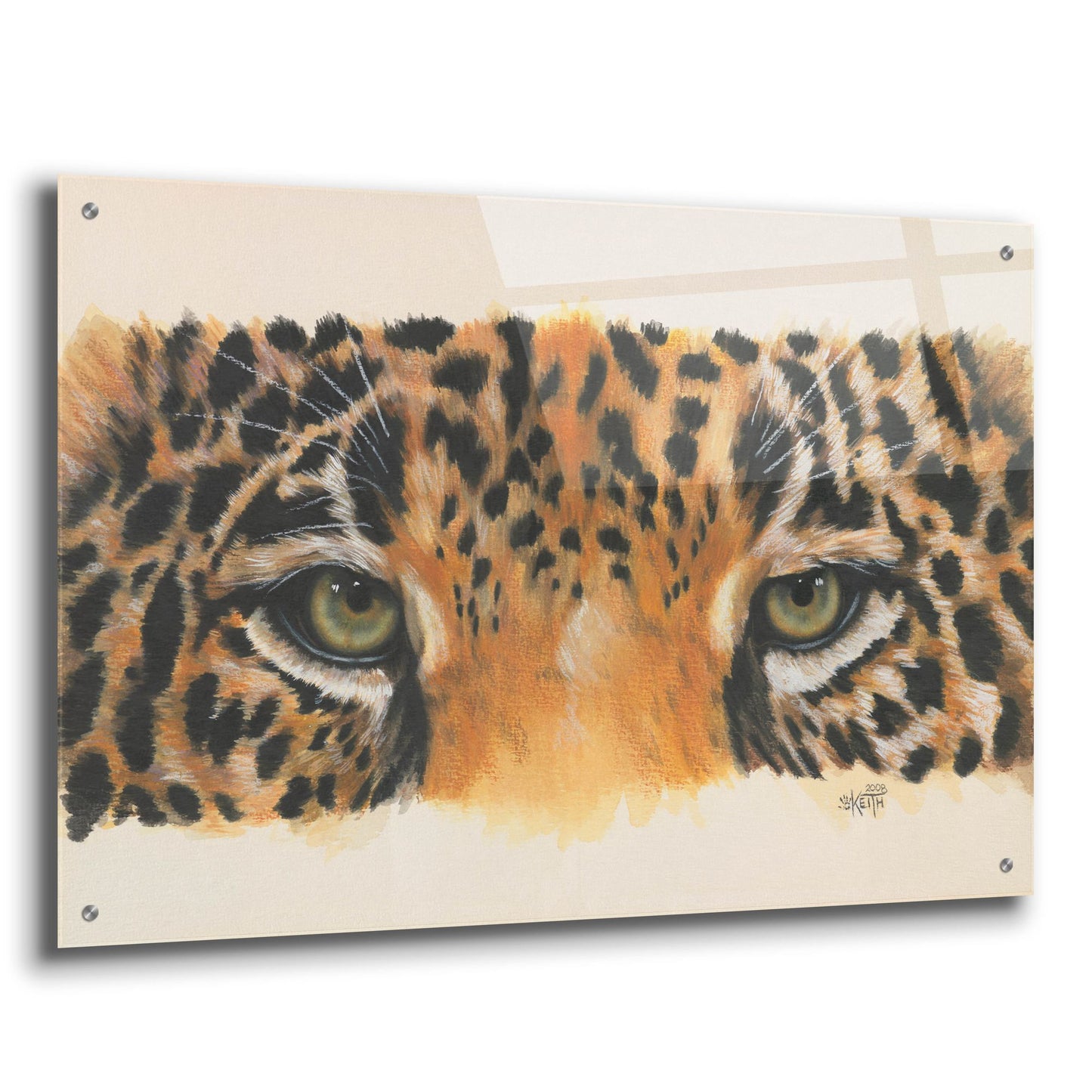 Epic Art 'Eye-Catching Jaguar' by Barbara Keith, Acrylic Glass Wall Art,36x24