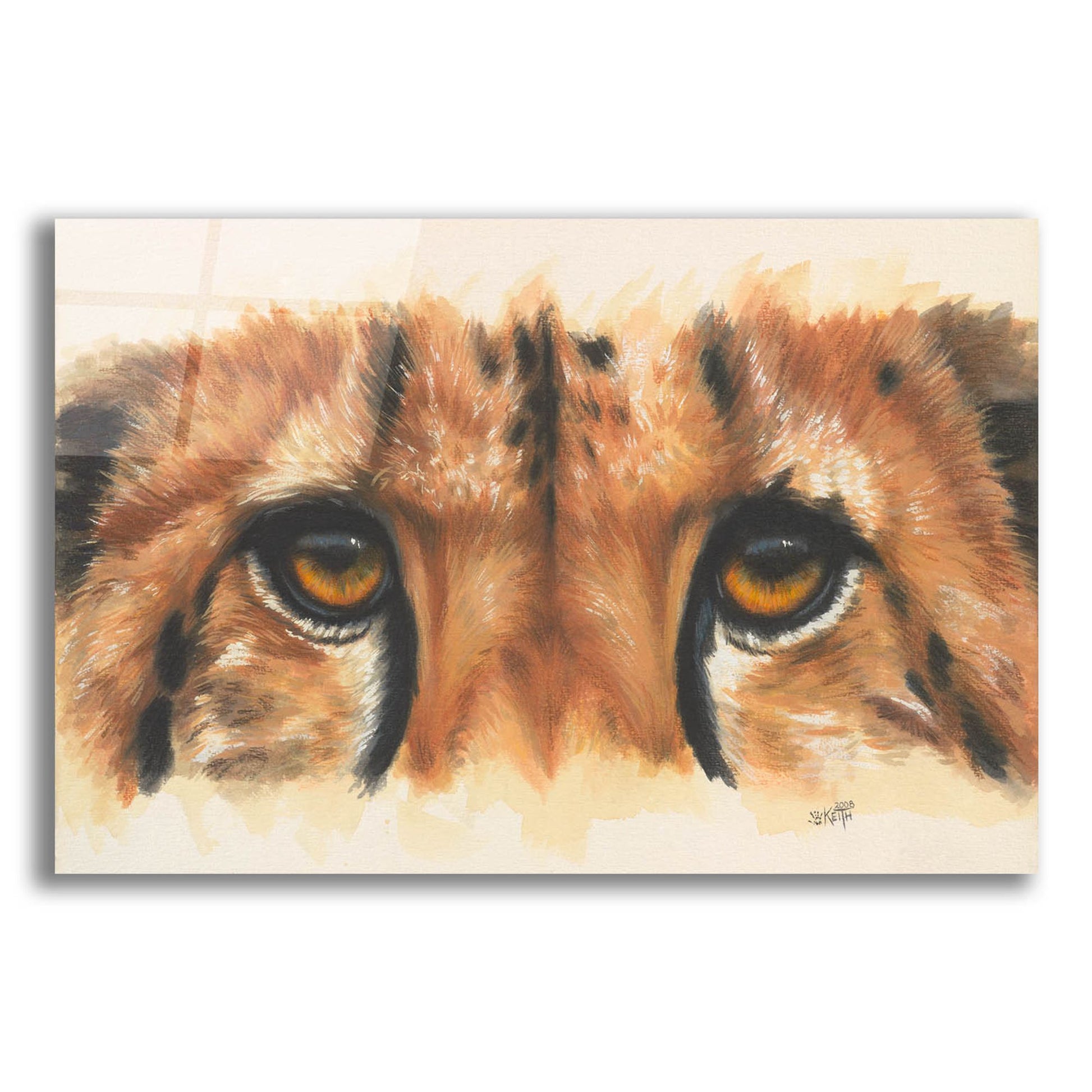 Epic Art 'Eye- Catching Cheetah' by Barbara Keith, Acrylic Glass Wall Art,16x12