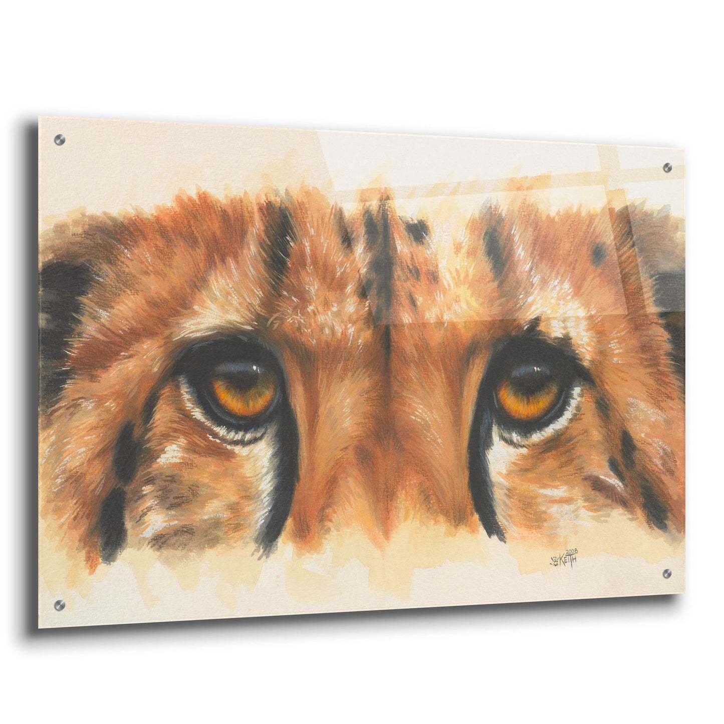 Epic Art 'Eye- Catching Cheetah' by Barbara Keith, Acrylic Glass Wall Art,36x24