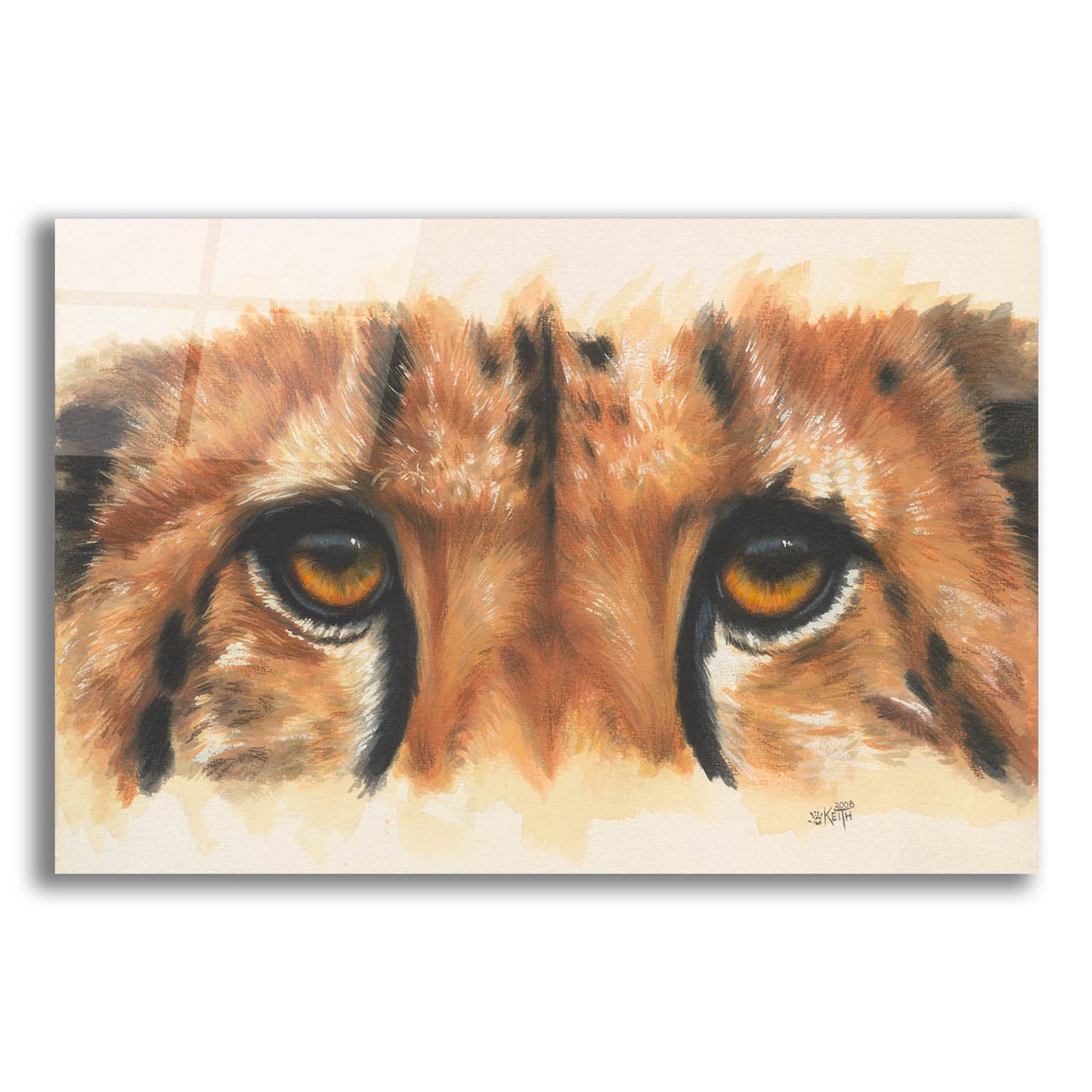 Epic Art 'Eye- Catching Cheetah' by Barbara Keith, Acrylic Glass Wall Art