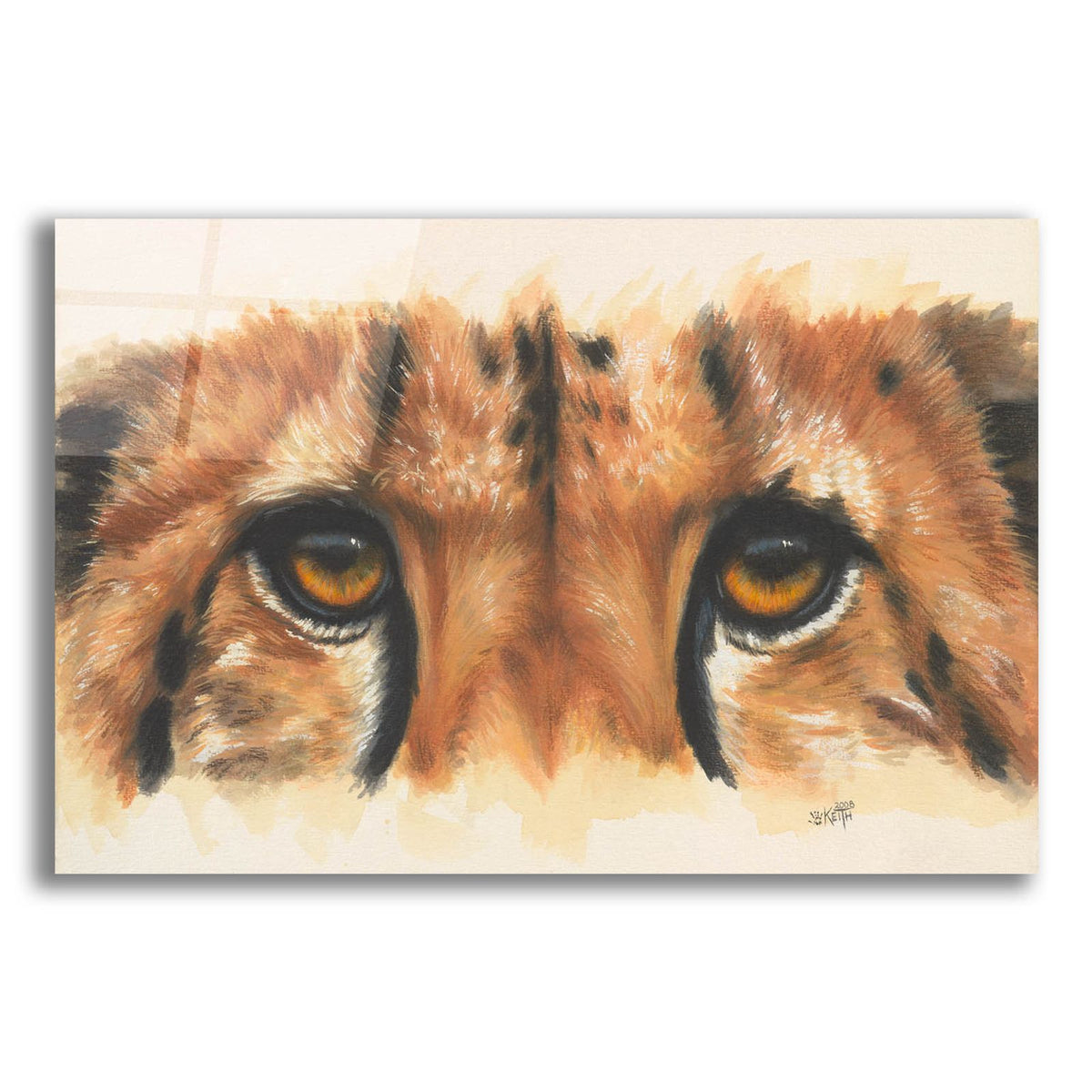Eye- Catching Cheetah by Barbara Keith acrylic glass wall art