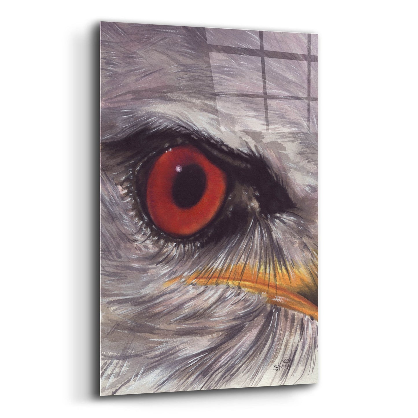 Epic Art 'Eye Catching Kite' by Barbara Keith, Acrylic Glass Wall Art,12x16