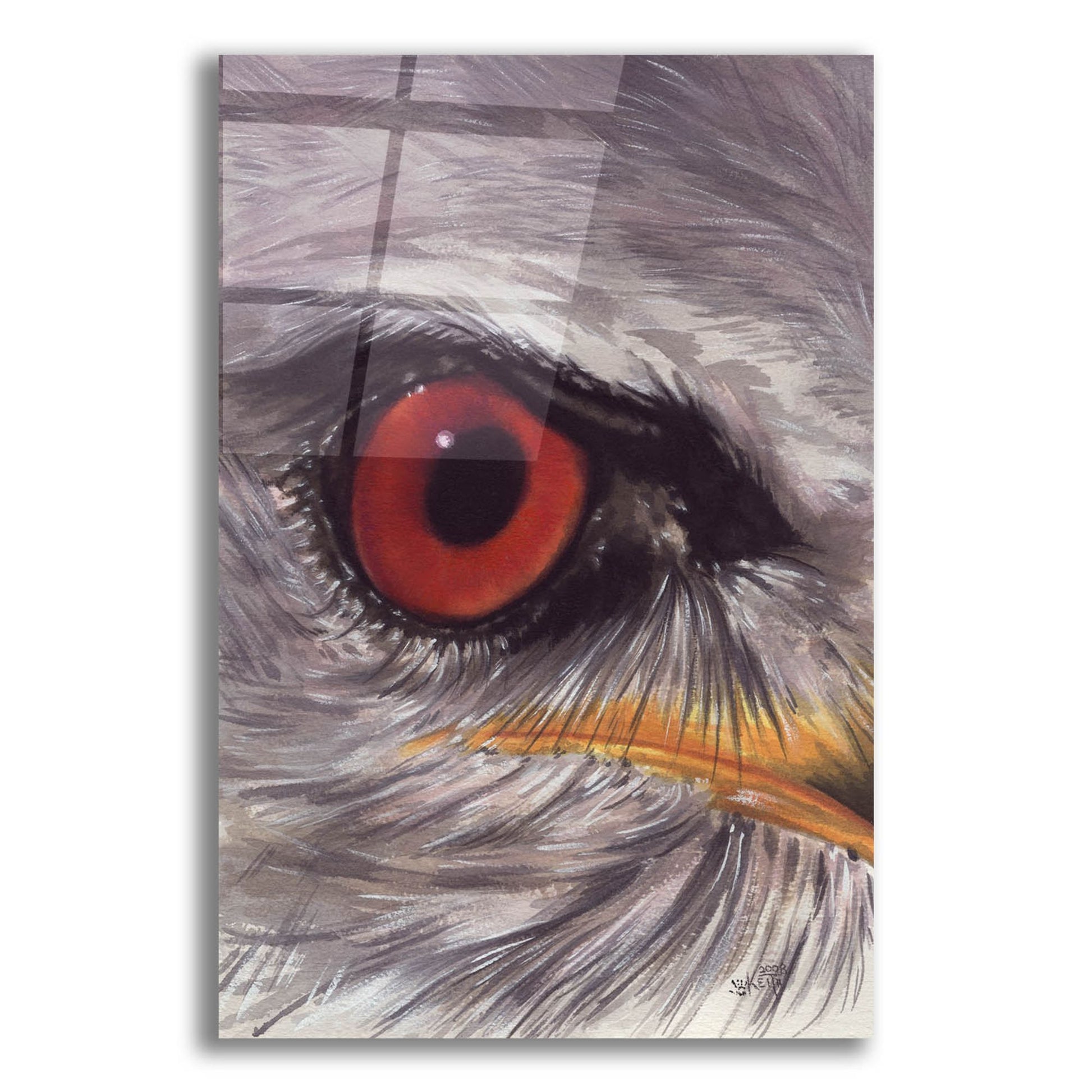 Epic Art 'Eye Catching Kite' by Barbara Keith, Acrylic Glass Wall Art,12x16