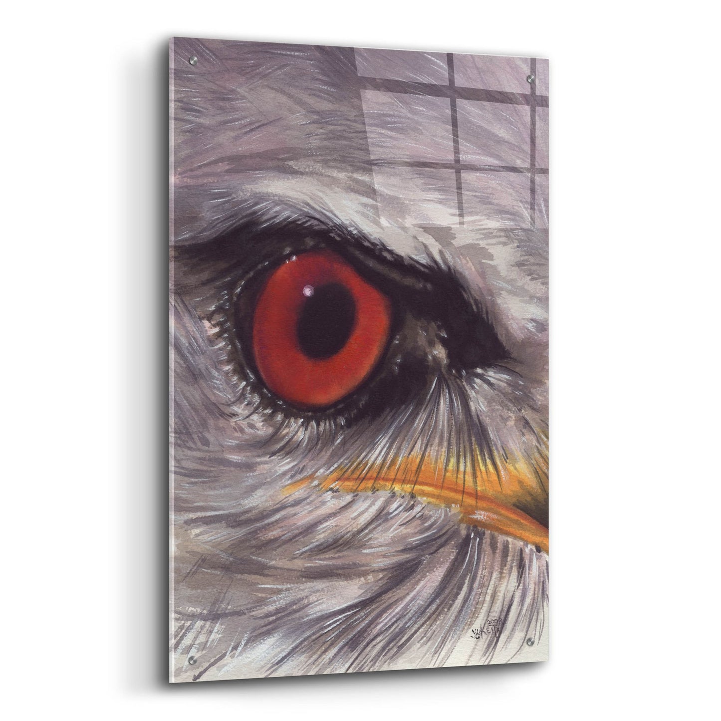 Epic Art 'Eye Catching Kite' by Barbara Keith, Acrylic Glass Wall Art,24x36