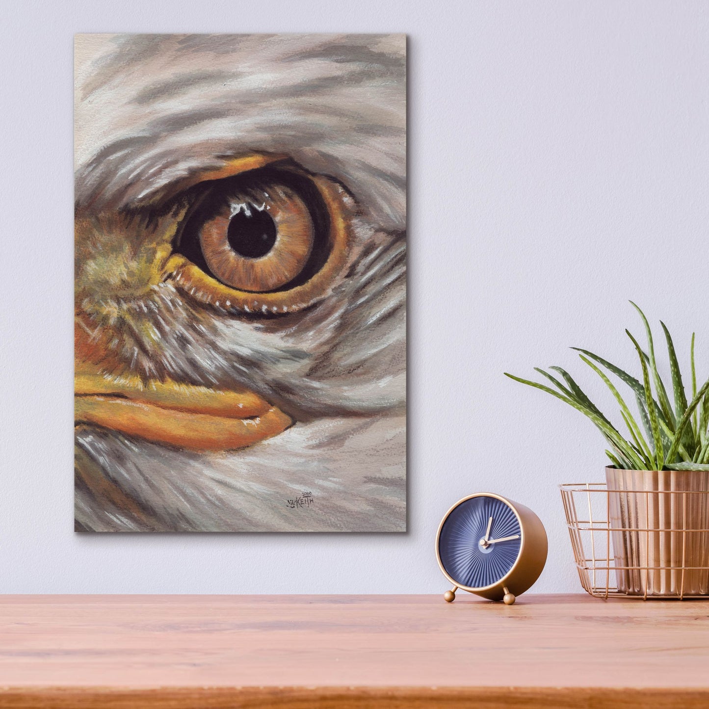 Epic Art 'Eye-Catching Bald Eagle' by Barbara Keith, Acrylic Glass Wall Art,12x16