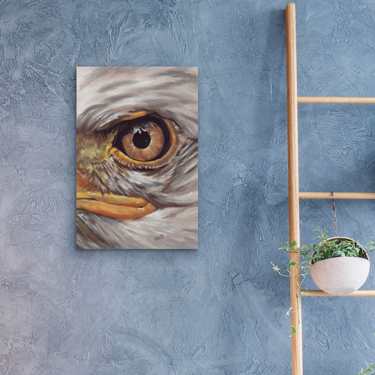 Eye-Catching Bald Eagle by Barbara Keith - 16x24 acrylic wall art in a room