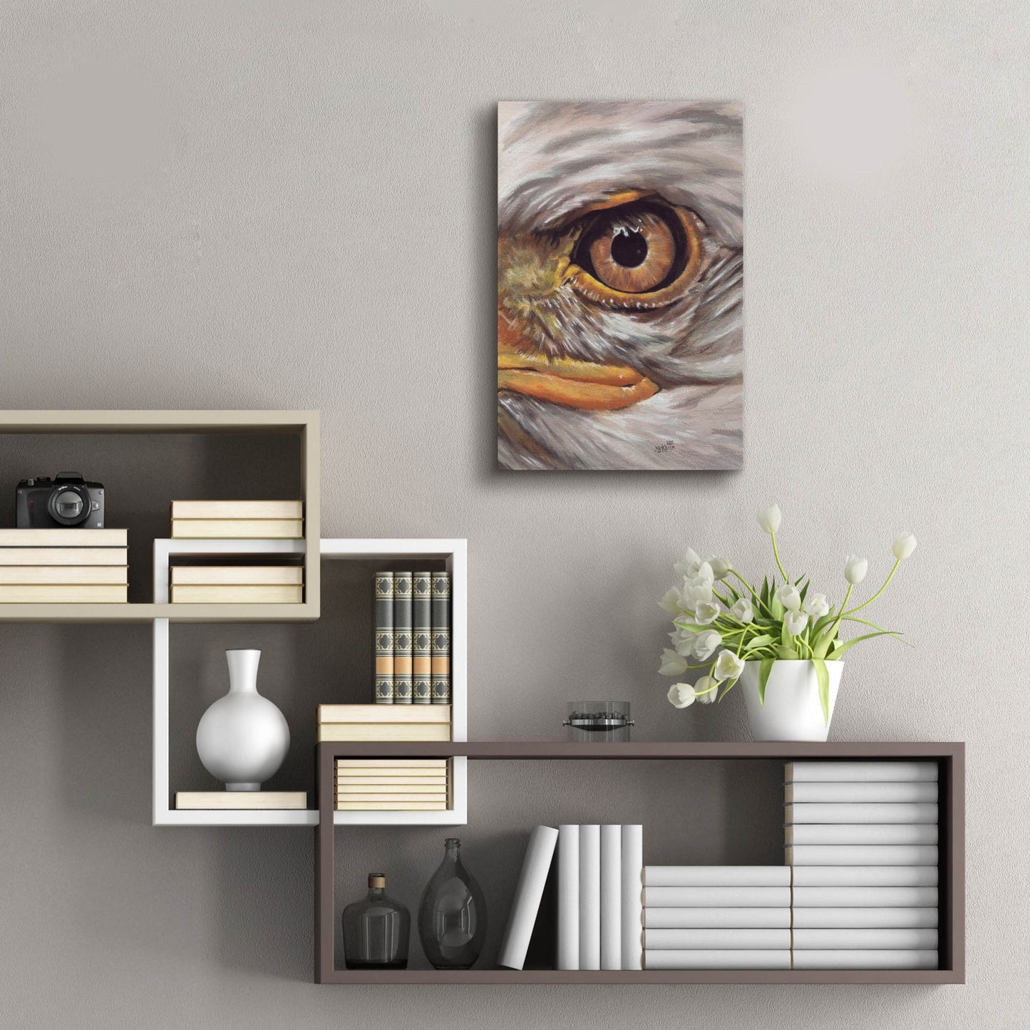 Epic Art 'Eye-Catching Bald Eagle' by Barbara Keith, Acrylic Glass Wall Art,16x24