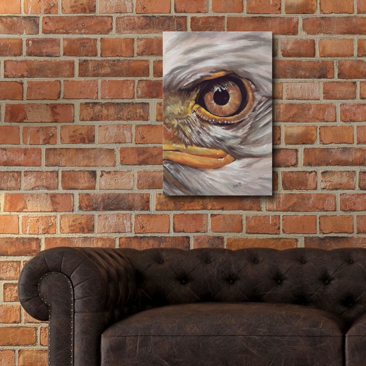 Epic Art 'Eye-Catching Bald Eagle' by Barbara Keith, Acrylic Glass Wall Art,16x24