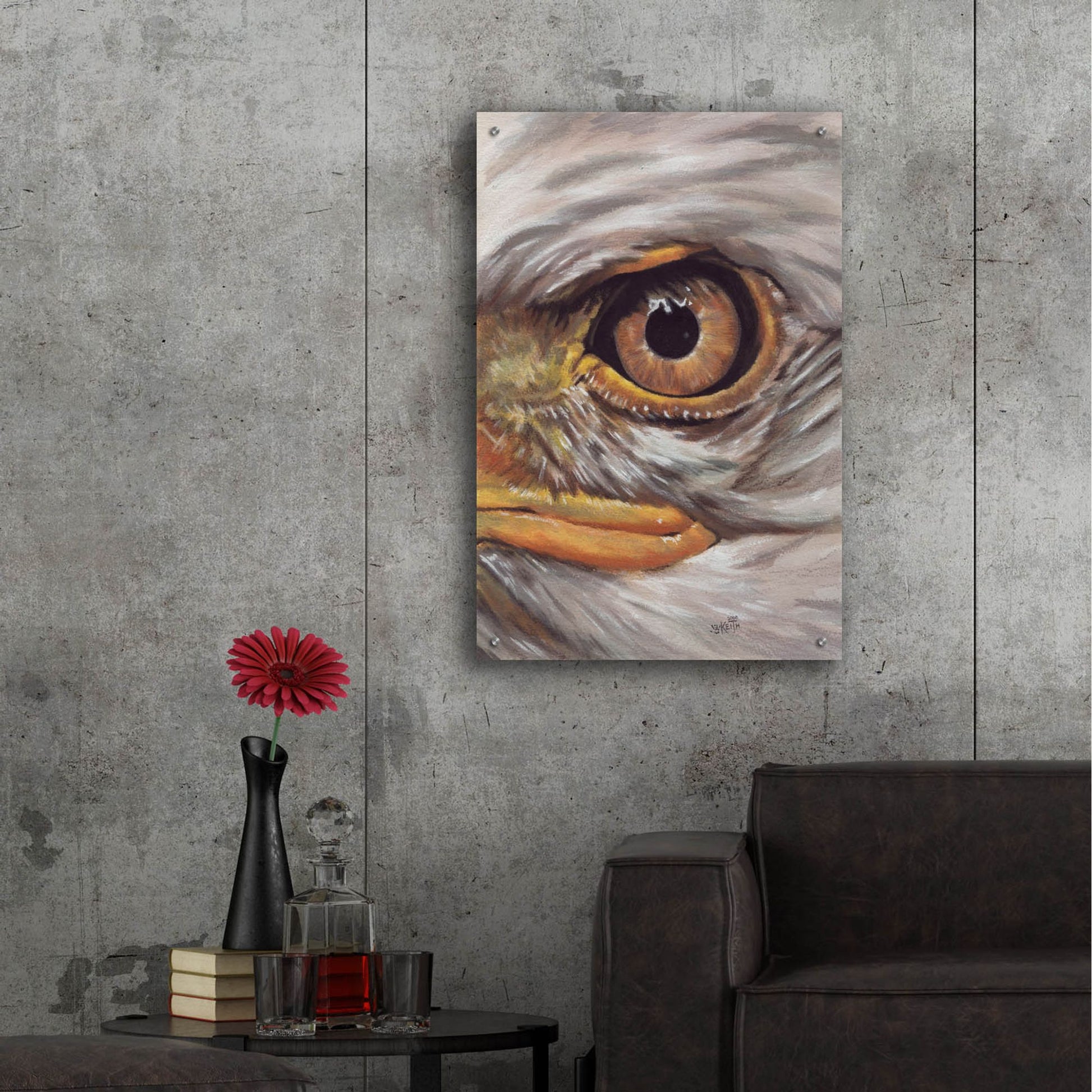 Epic Art 'Eye-Catching Bald Eagle' by Barbara Keith, Acrylic Glass Wall Art,24x36