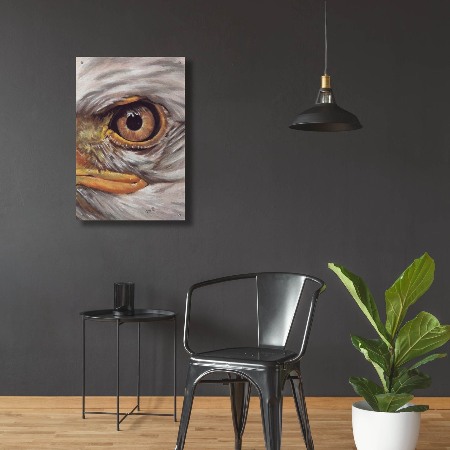 Epic Art 'Eye-Catching Bald Eagle' by Barbara Keith, Acrylic Glass Wall Art,24x36