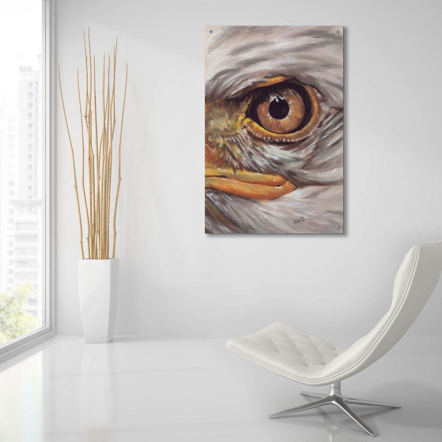 Epic Art 'Eye-Catching Bald Eagle' by Barbara Keith, Acrylic Glass Wall Art,24x36