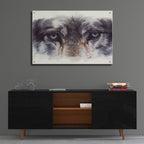 Epic Art 'Eye-Catching Wolf' by Barbara Keith, Acrylic Glass Wall Art,36x24
