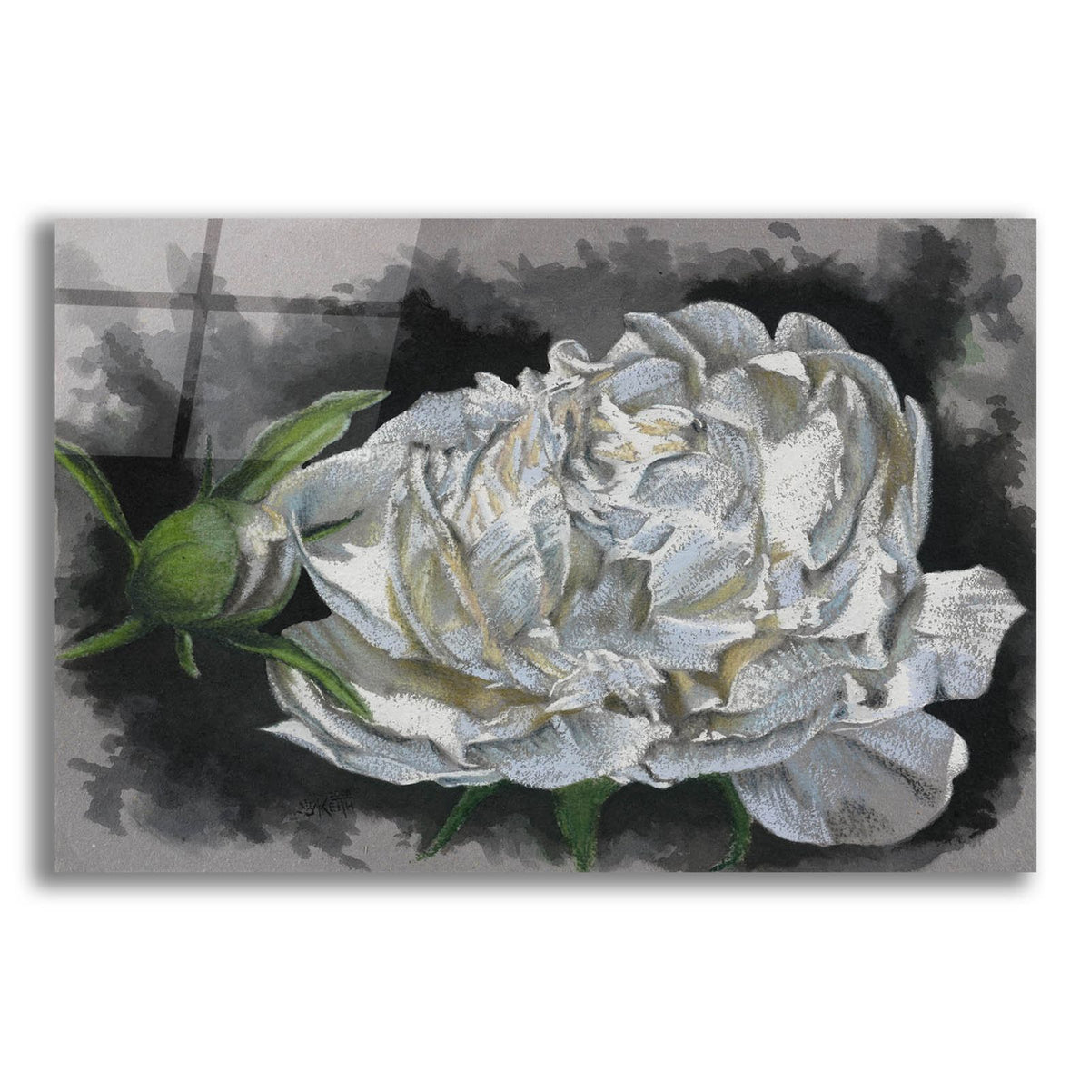 Demure by Barbara Keith acrylic glass wall art