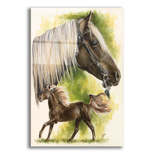 Epic Art 'Rocky Mountain Horse' by Barbara Keith, Acrylic Glass Wall Art