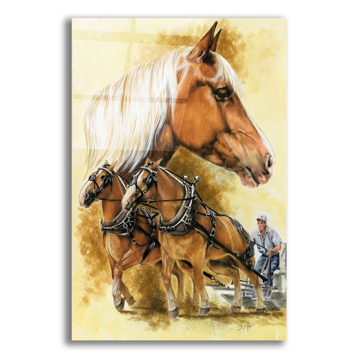 Belgian by Barbara Keith acrylic glass wall art