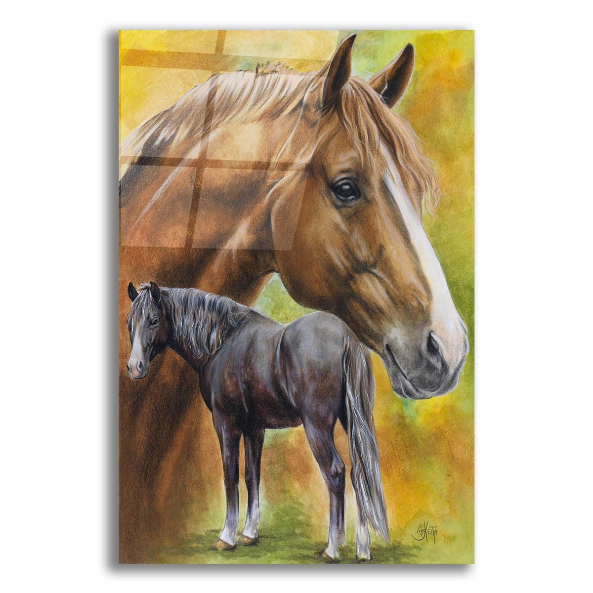 Dutch Warm Blood by Barbara Keith acrylic glass wall art