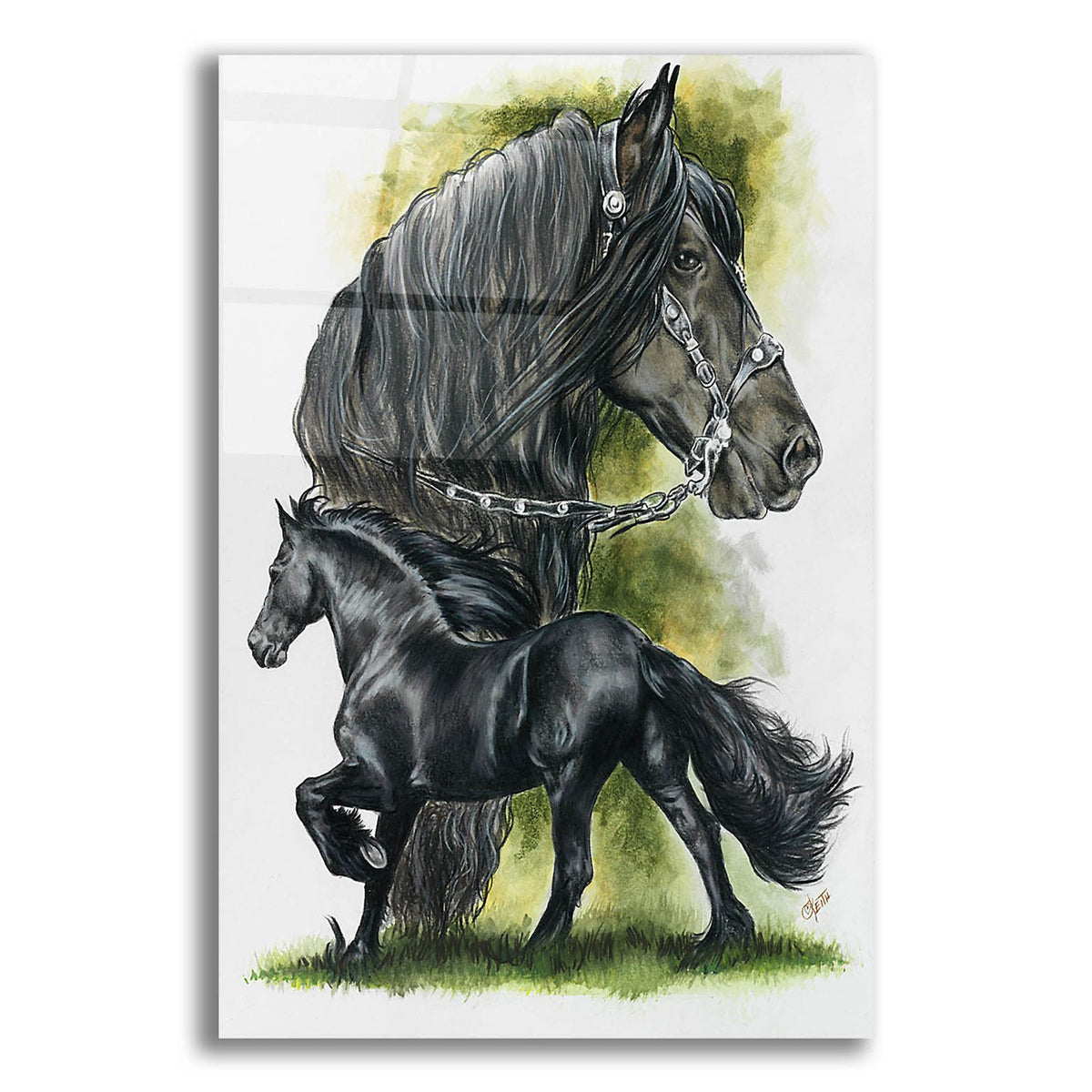 Fresian by Barbara Keith acrylic glass wall art