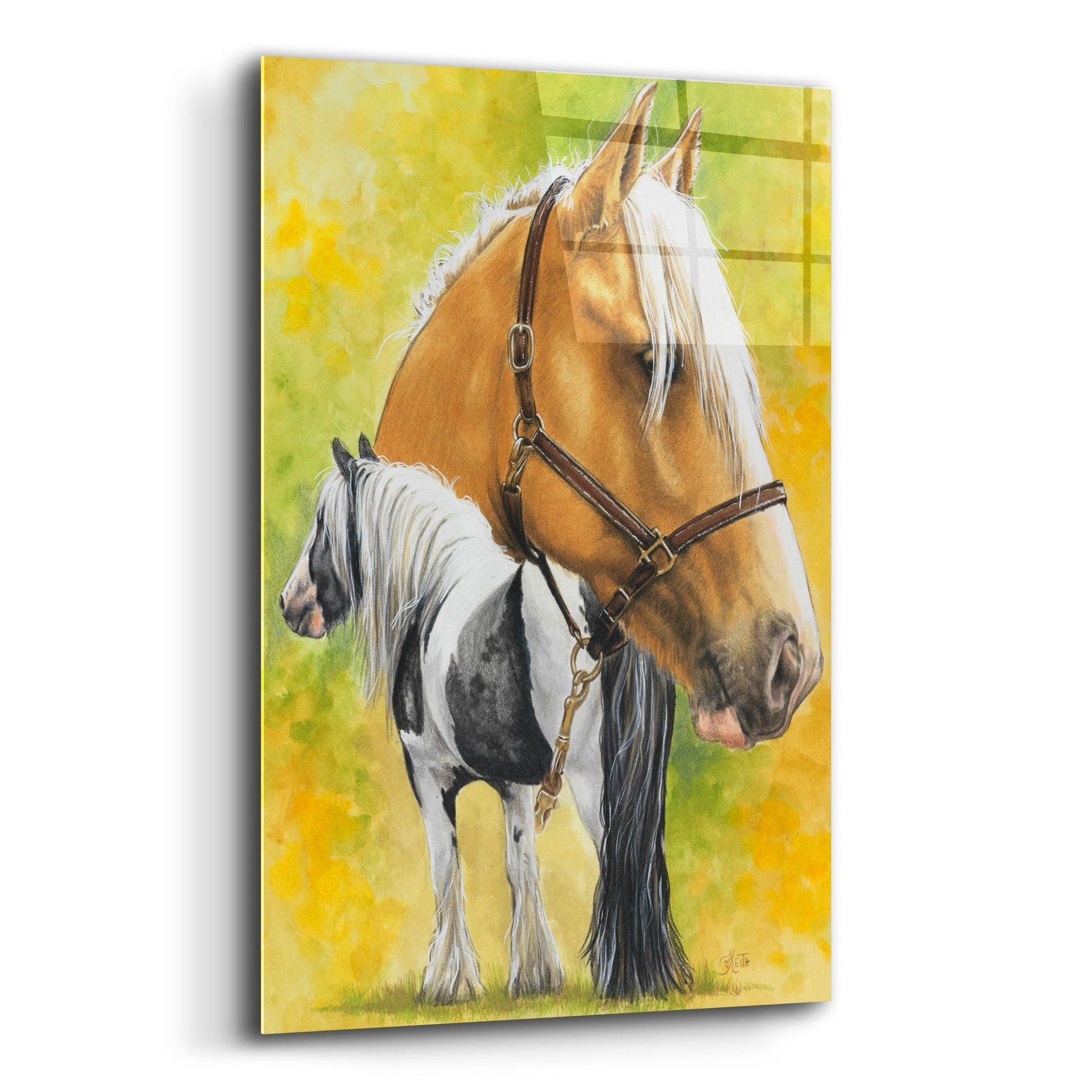 Epic Art 'Irish Cob' by Barbara Keith, Acrylic Glass Wall Art,12x16