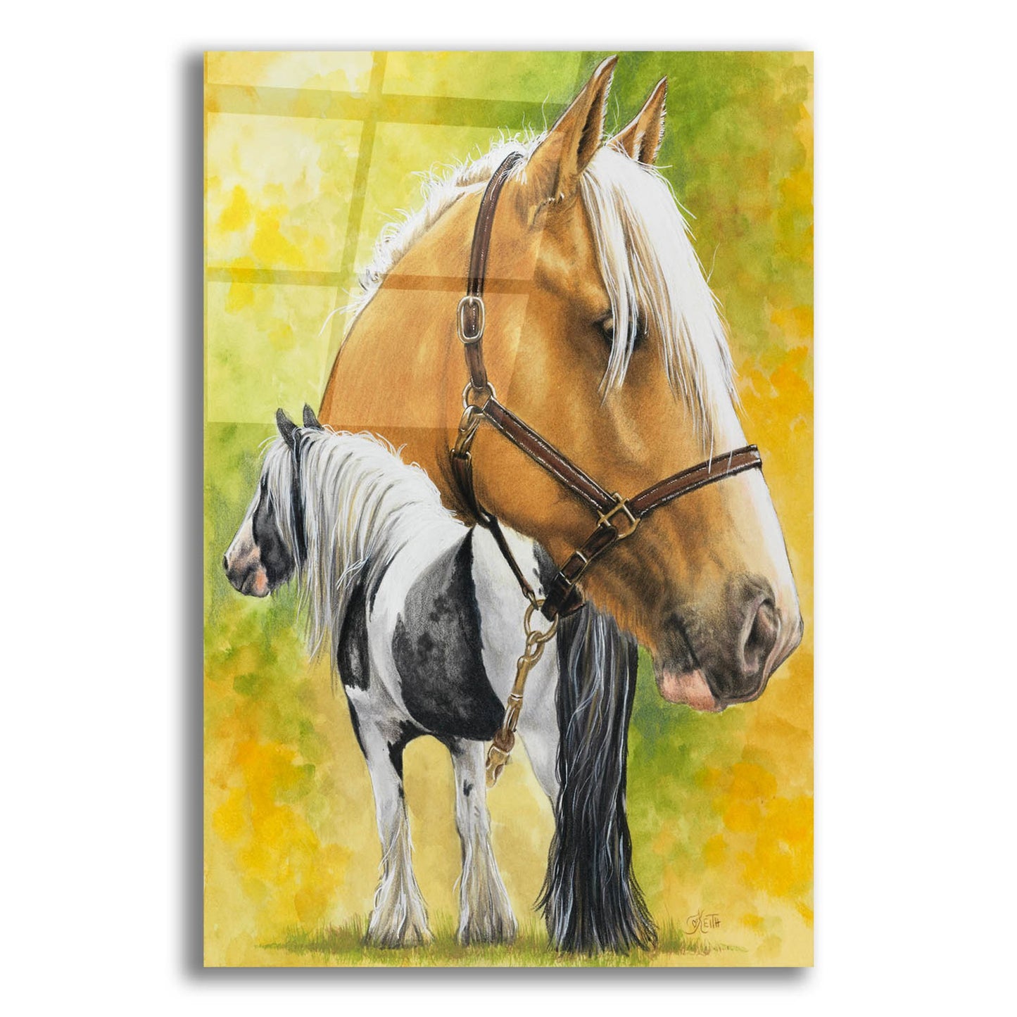 Epic Art 'Irish Cob' by Barbara Keith, Acrylic Glass Wall Art,12x16