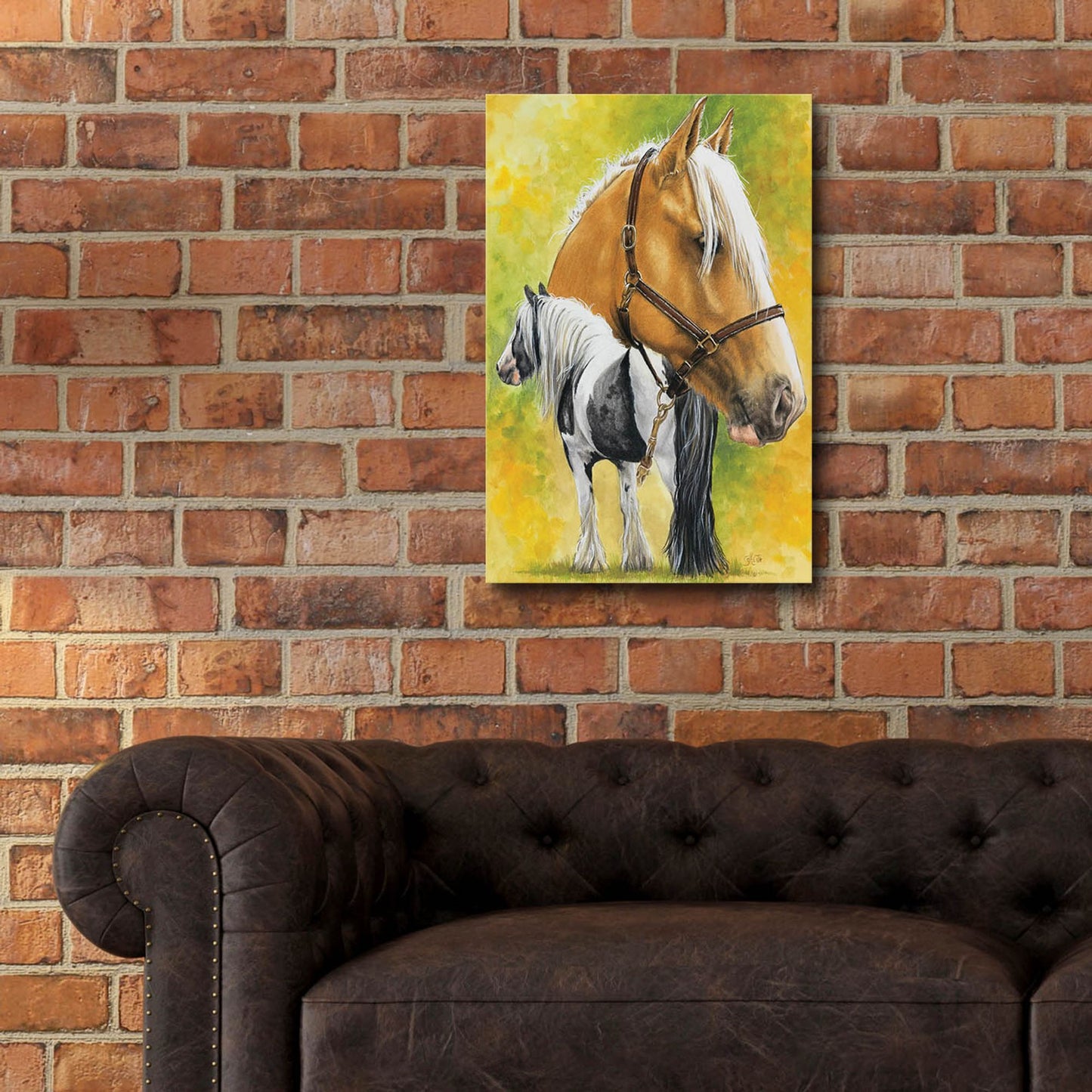 Epic Art 'Irish Cob' by Barbara Keith, Acrylic Glass Wall Art,16x24