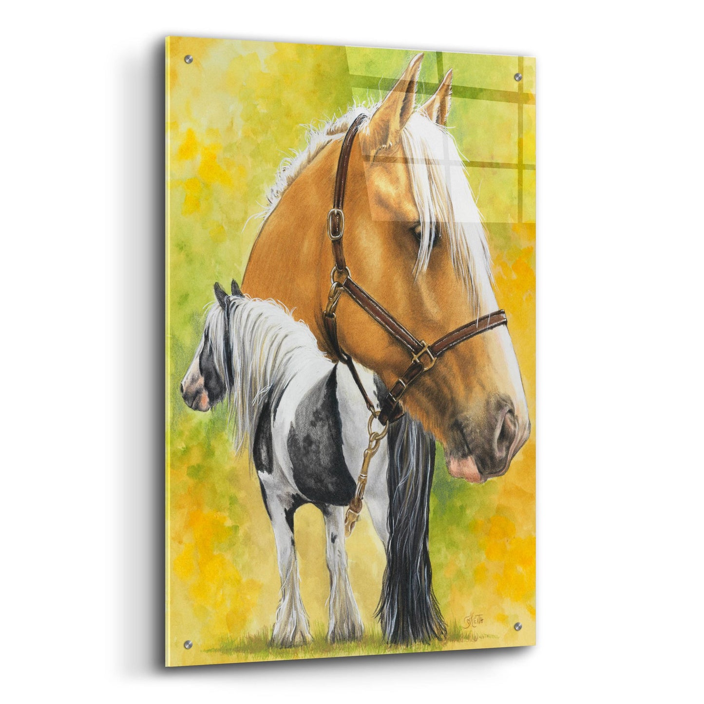 Epic Art 'Irish Cob' by Barbara Keith, Acrylic Glass Wall Art,24x36